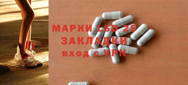прущие грибы Алзамай