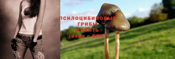 прущая мука Нязепетровск