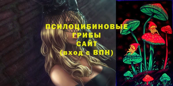 прущие грибы Алзамай
