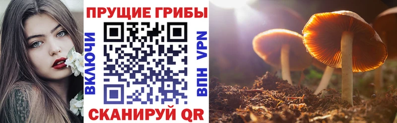 Псилоцибиновые грибы Psilocybine cubensis  Тында 