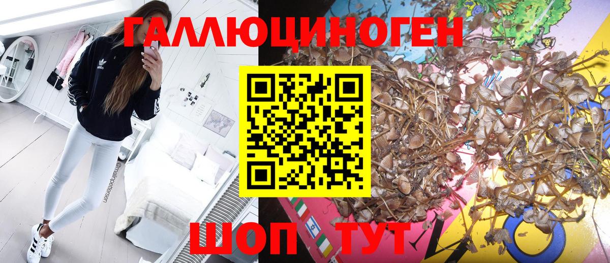 Галлюциногенные грибы ЛСД  Вход с VPN  Тында 