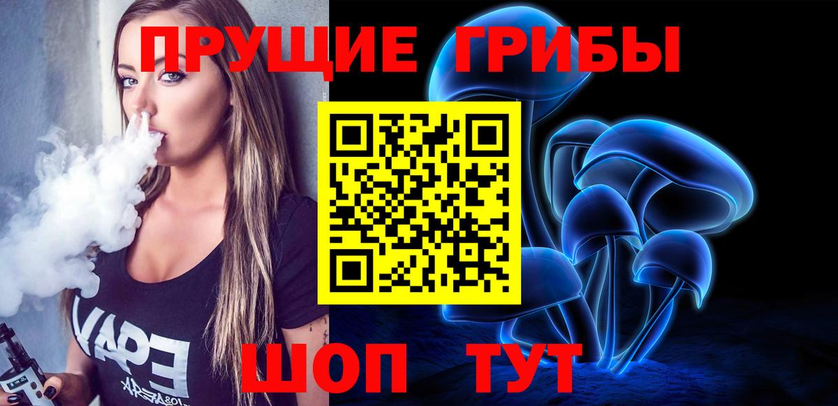 Галлюциногенные грибы Psilocybine cubensis Тында