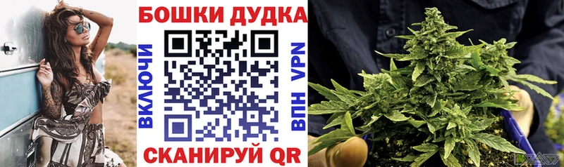 Конопля план  Тында 