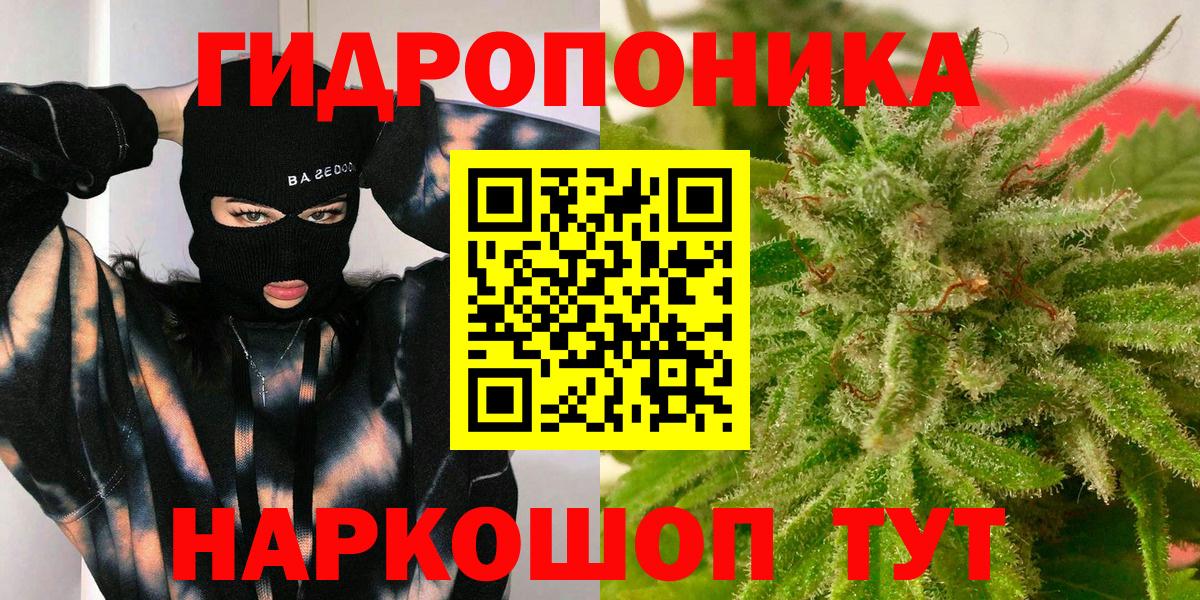Канабис конопля Тында